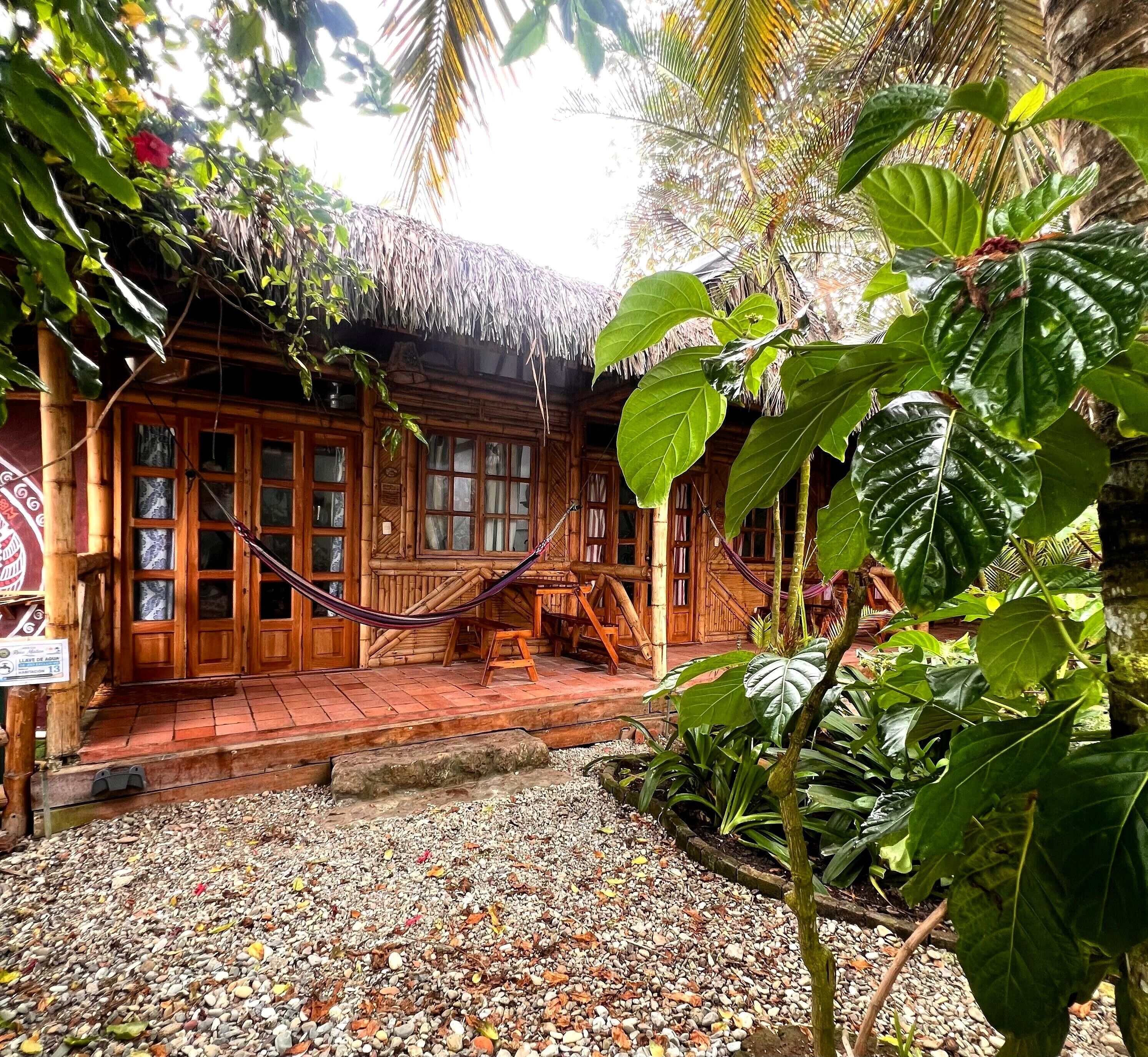 A wooden house with a thatched roof, a hammock, and a gravel pathway.