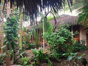 Property grounds - HOSTAL ROSA MISTICA  (Montañita)