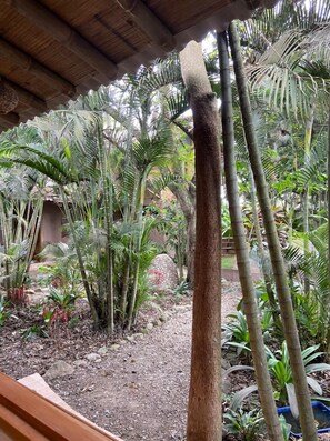 Bahia Culture, Room 7 | View from room