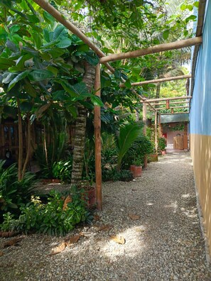 Vista des de l'habitació