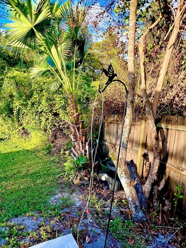 Relax & Unwind- Spacious 4BR Pool Home-Family & Pet Friendly! Next to Disney