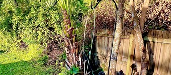 Relax & Unwind- Spacious 4BR Pool Home-Family & Pet Friendly! Next to Disney