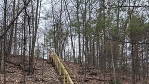 Un escalier en bois qui monte une colline boisée.