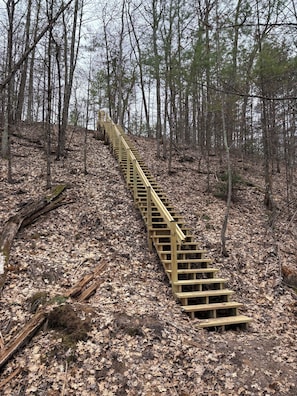 Un escalier en bois qui monte une colline boisée.