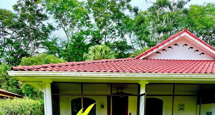 Riverside oasis with private pool and backyard. Walking distance to the beach.