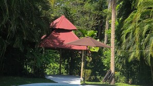 A swimming pool with a tiled edge, surrounded by a gravel area with stepping stones leading to a covered seating area with a red roof. - Riverside oasis with private pool and backyard.  Walking distance to the beach. (Paquera)
