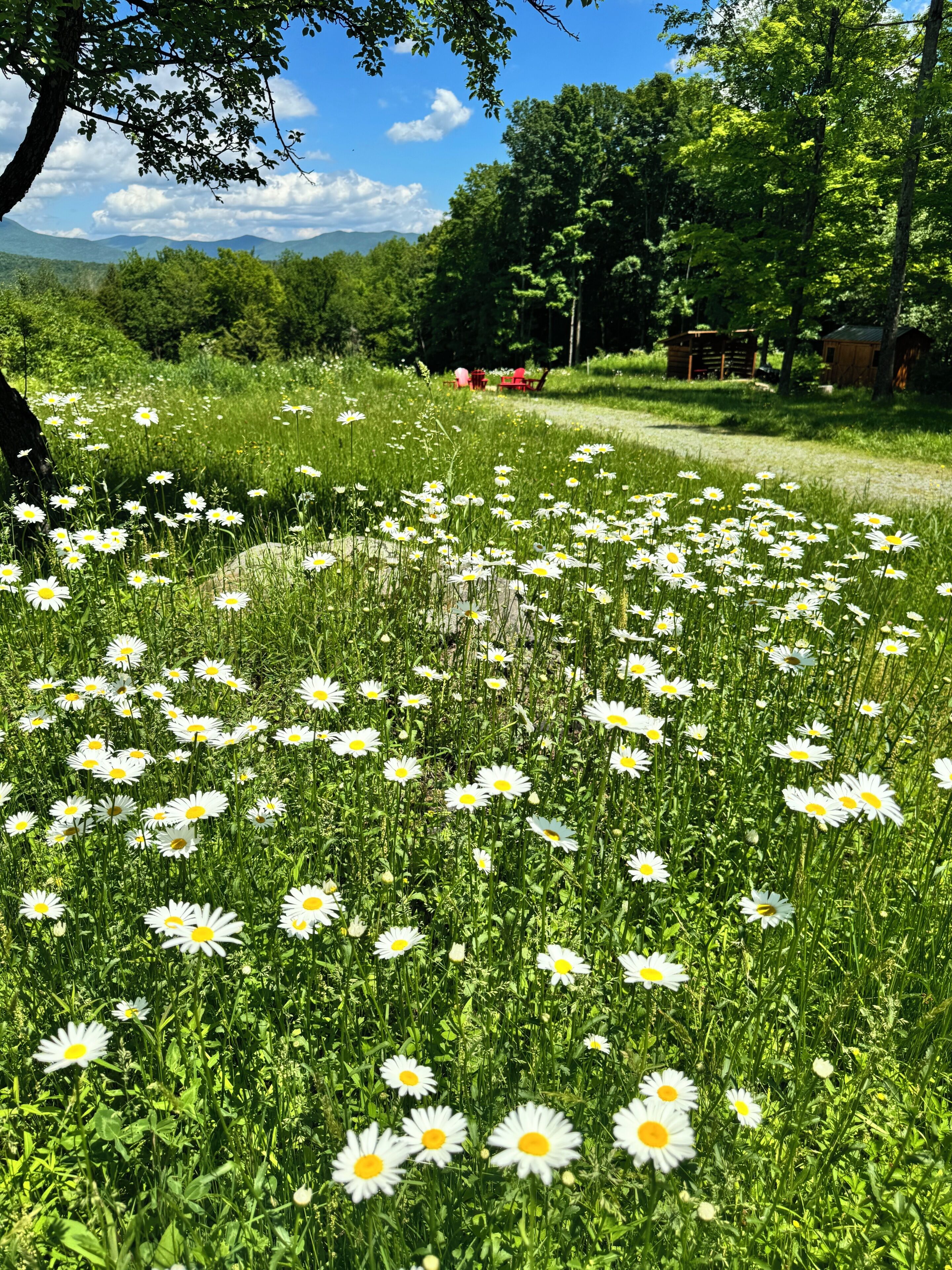 住宿场地