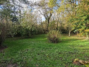 Property grounds - Cozy little holiday oasis in beautiful nature (Bækmarksbro)