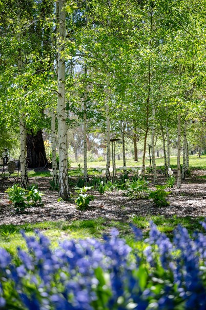 The Drayshed- Converted Drayshed with elegance and comfort.