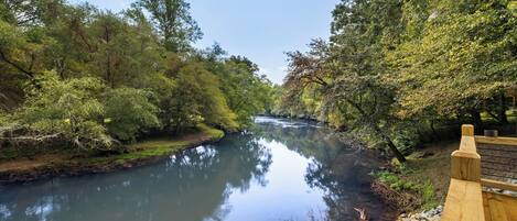 A wooden bridge over a calm river surrounded by dense trees.