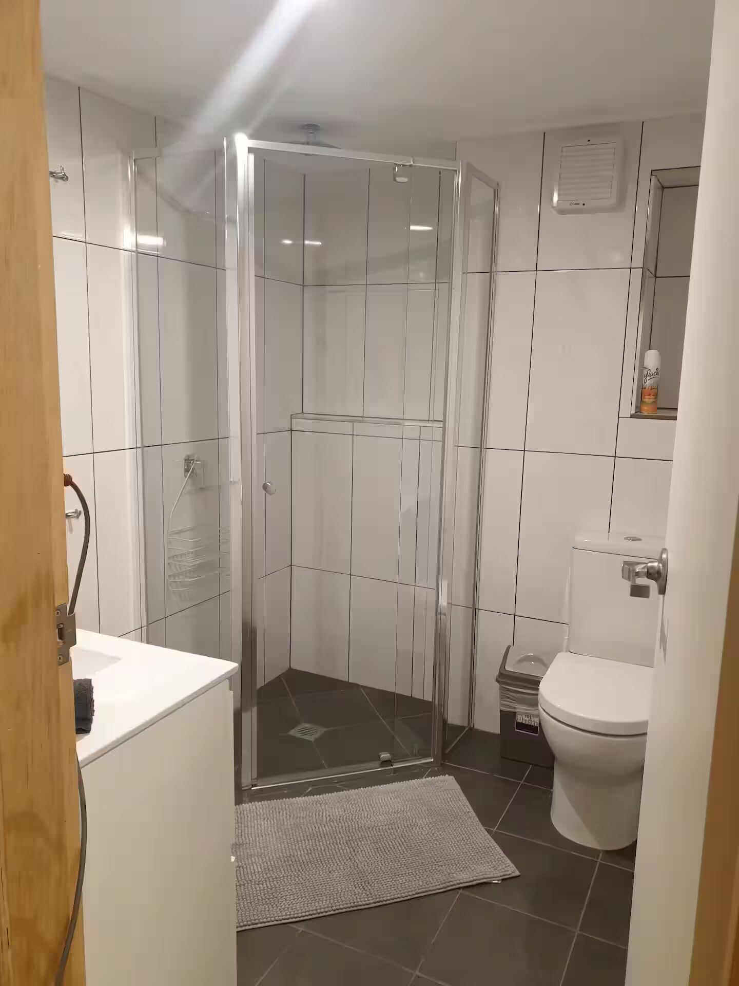 Een douche, een haardroger, handdoeken, zeep