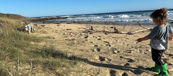 Bemm River Bungalows #2: “Pelican Pad”