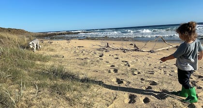 Bemm River Bungalows #2: âPelican Padâ