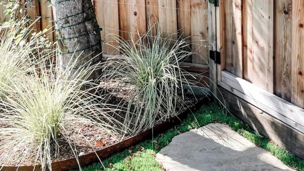 A wooden fence with a gate, a tree, and a grassy area with plants. - Central Marin Living - 3 Bedroom House in Corte Madera (Corte Madera)
