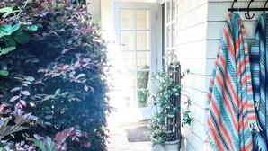 A stone-paved pathway leading to a white door, surrounded by lush greenery and a hanging patterned cloth. - Central Marin Living - 3 Bedroom House in Corte Madera (Corte Madera)