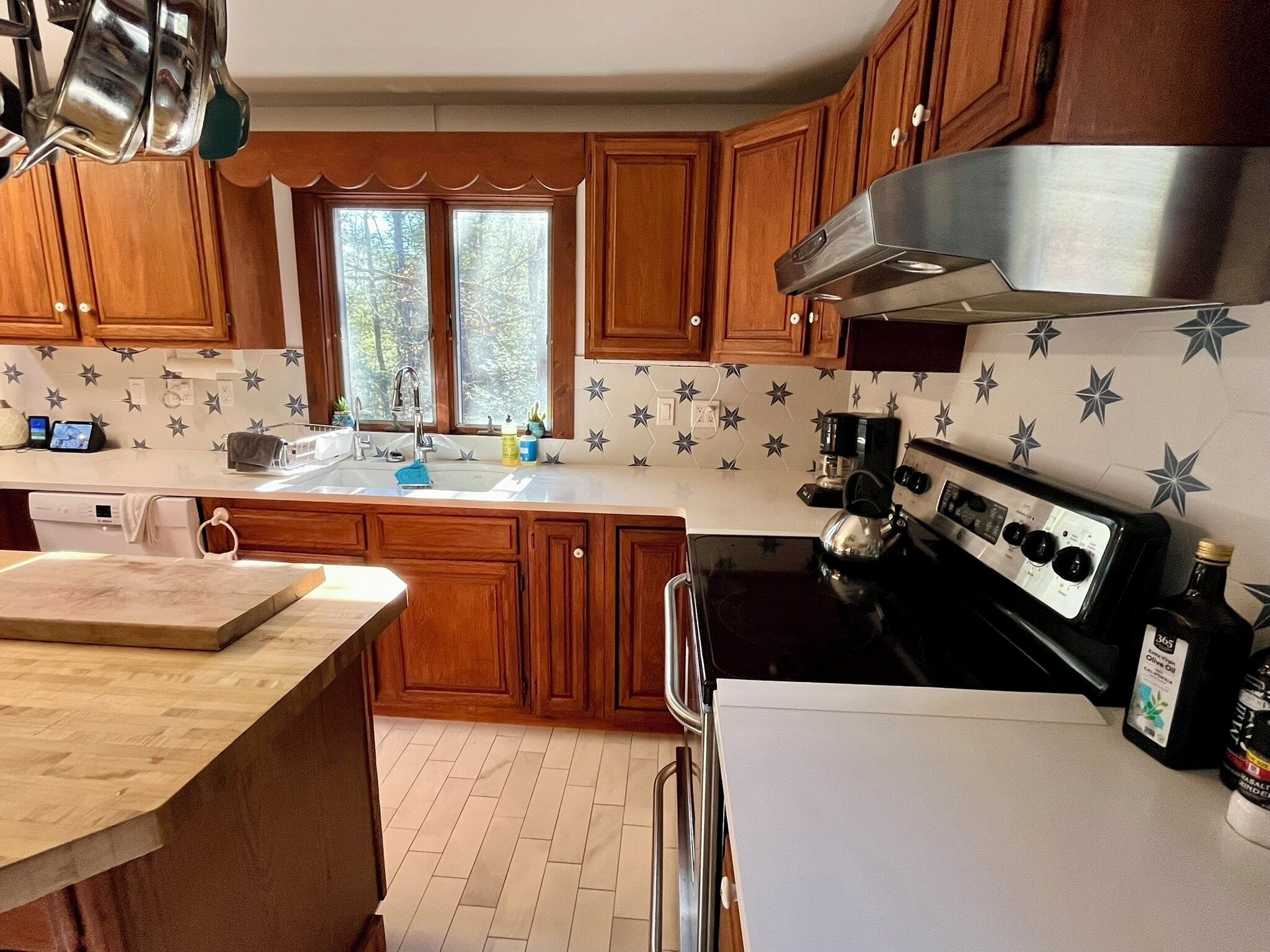 Fridge, oven, stovetop, dishwasher