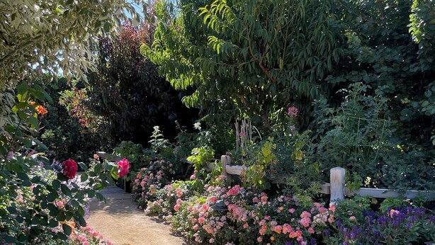 En havegang omgivet af forskellige blomstrende planter og træer.