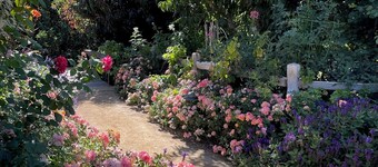 Charming 3-bedroom GARDEN COTTAGE in Fillmore with 1 acre rose garden access