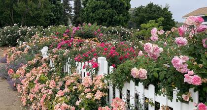 Charming 3-bedroom GARDEN COTTAGE in Fillmore with 1 acre rose garden access