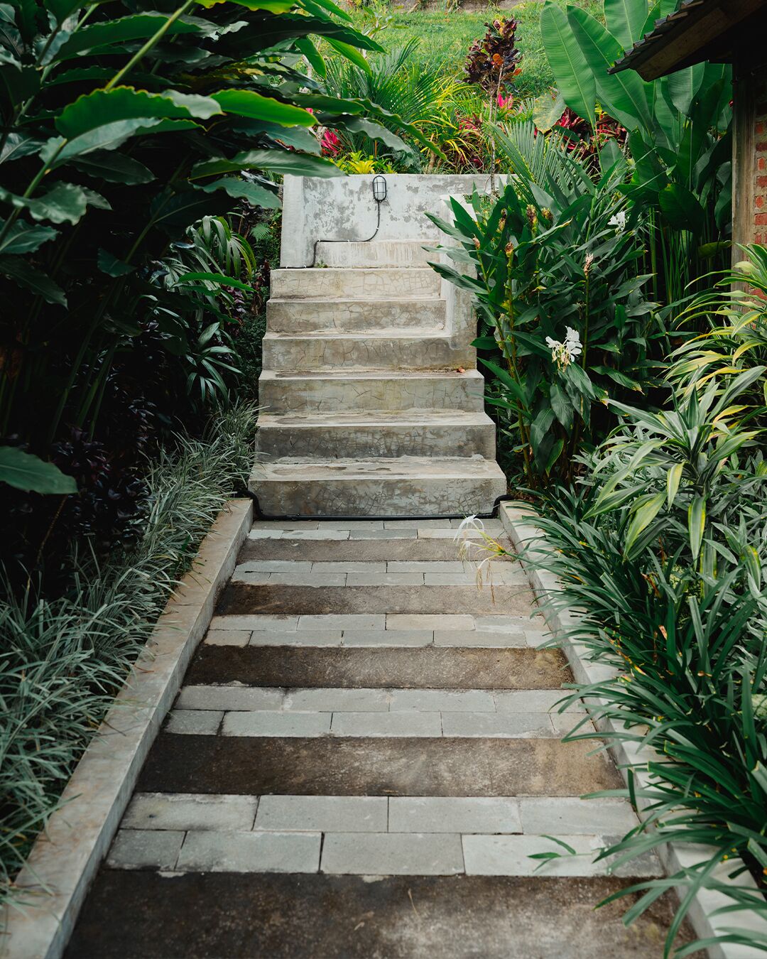 Una escalera de piedra rodeada de abundante vegetación.