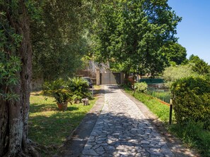 A stone pathway leading through a lush garden with trees and potted plants.