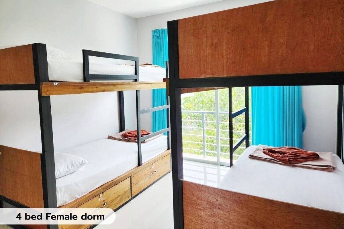A 4-bed female dorm with bunk beds, a window with blue curtains, and a view of greenery outside.