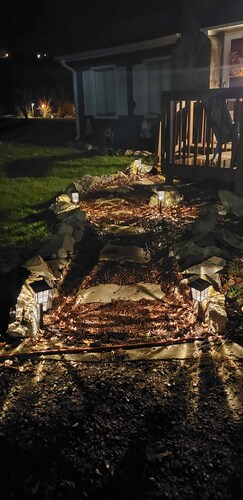 Cozy Lakefront Cottage in Branson