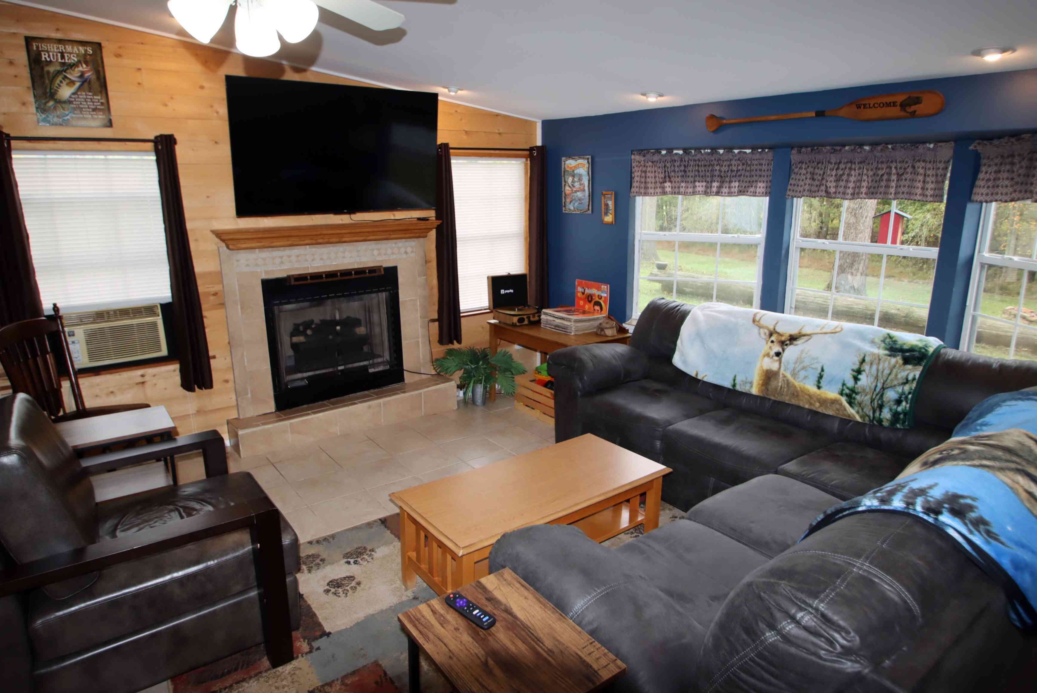 Smart TV, fireplace, books, music library