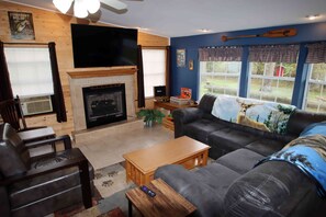 TV connectée, cheminée, livres, médiathèque