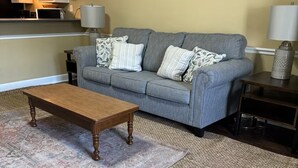 A living room with a grey sofa, patterned cushions, a wooden coffee table, and a large rug. - centrally located 3 bed 2 bath (Albany)