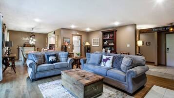Smart TV, fireplace, books