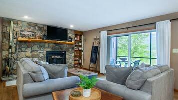 Smart TV, fireplace, books