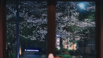 Suite Superior | Pemandangan kota