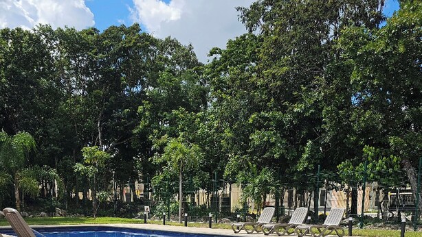 Piscina com água azul cristalina, rodeada por árvores e espreguiçadeiras.