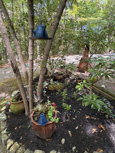 Smoky Mountain hide away! 1hour from all Smoky Mountain attractions