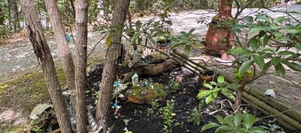 Smoky Mountain hide away! 1hour from all Smoky Mountain attractions