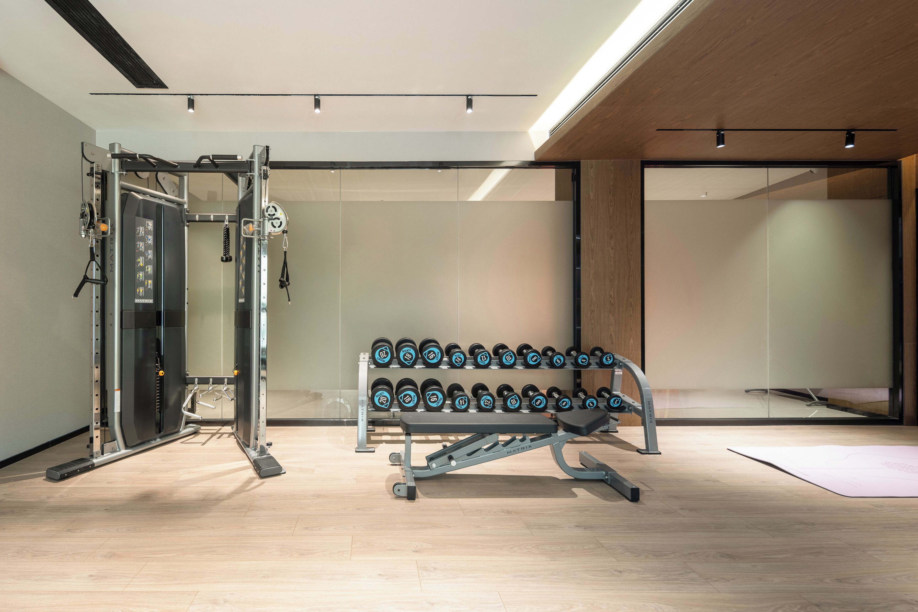 Gimnasio