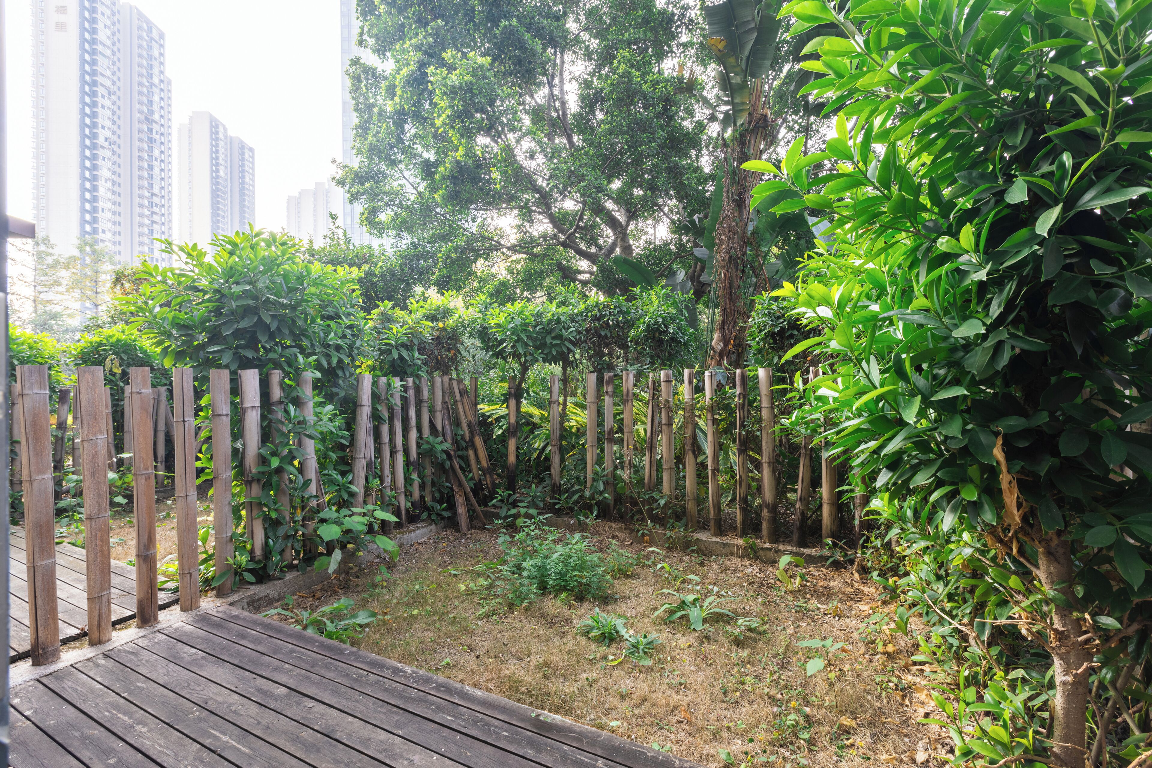 Une terrasse en bois, bordée d’une clôture en bambou, entourée d’une végétation luxuriante et avec de grands immeubles en arrière-plan.