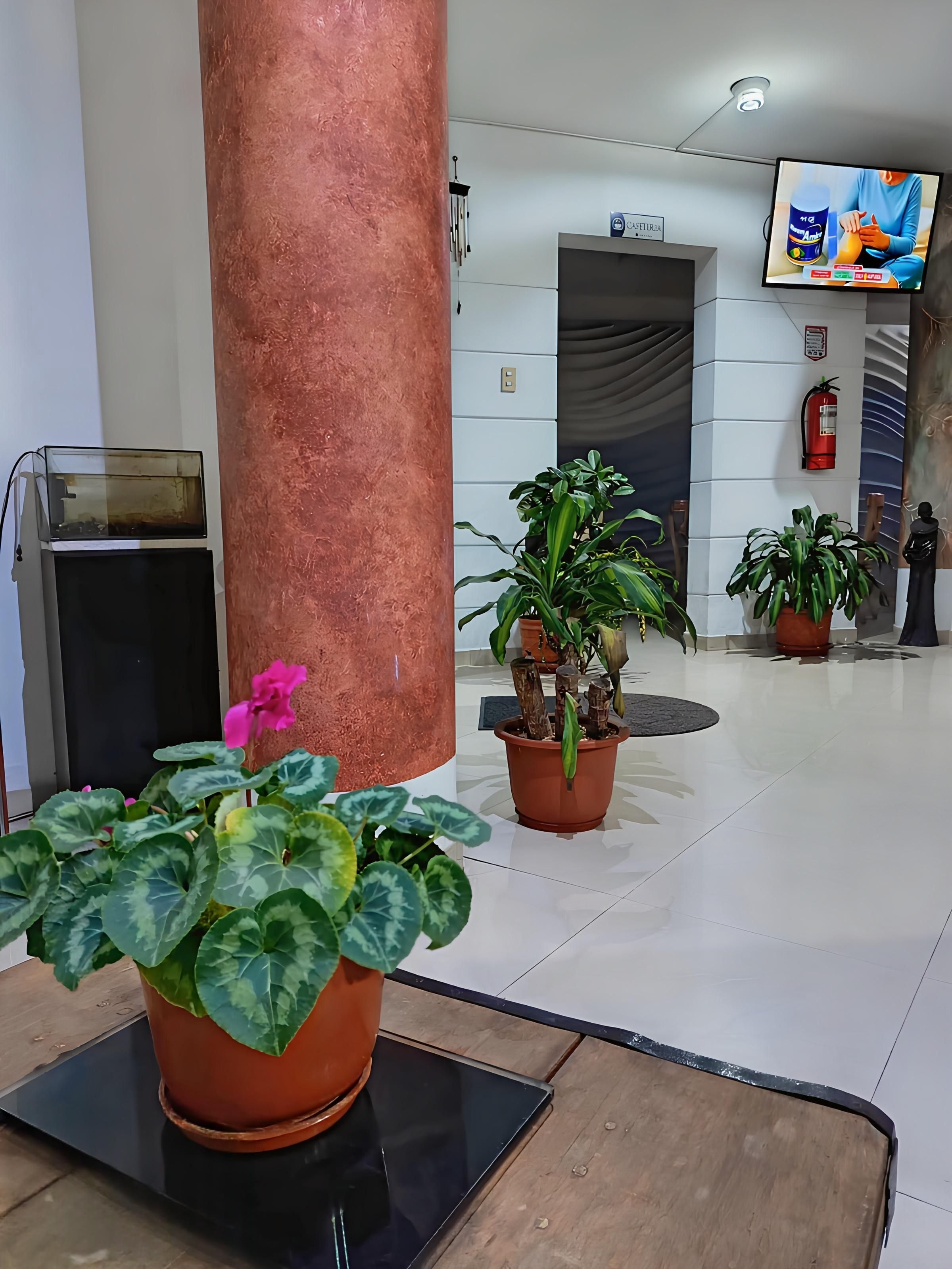 En lobby med en stor kobberstolpe, plantekasser, en brandslukker og et fjernsyn.