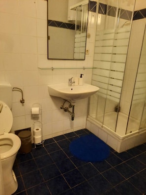 Basic Apartment | Bathroom | Shower, free toiletries, hair dryer, towels