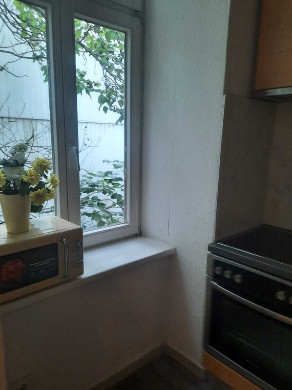 Basic Apartment | Private kitchen | Fridge, microwave, oven, stovetop