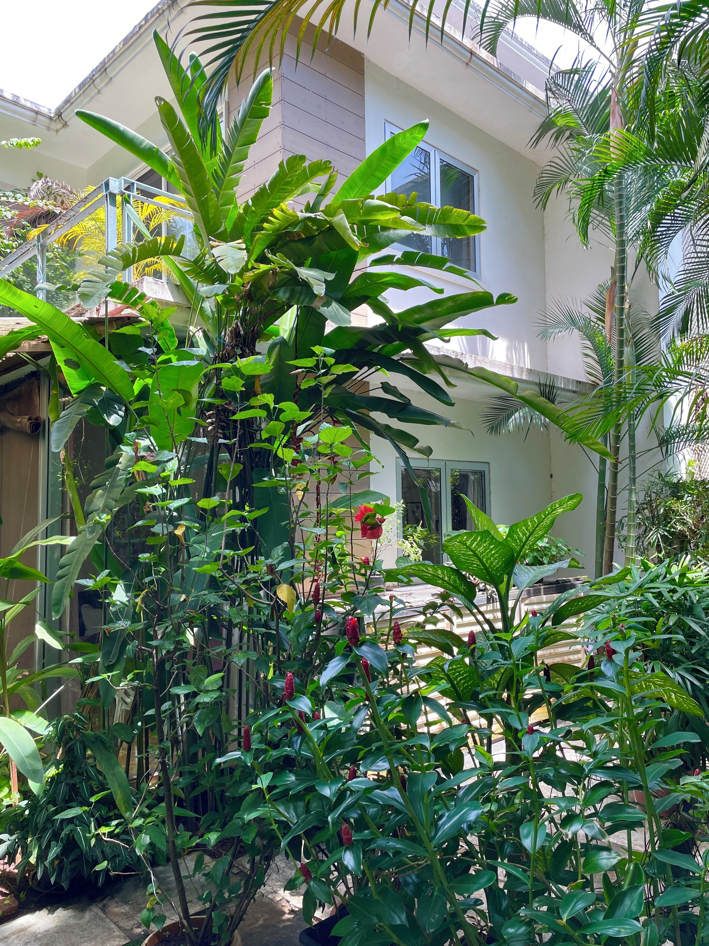 Apartment, Garden View | Garden view