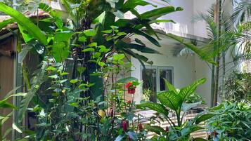 Apartment, Garden View | Garden view