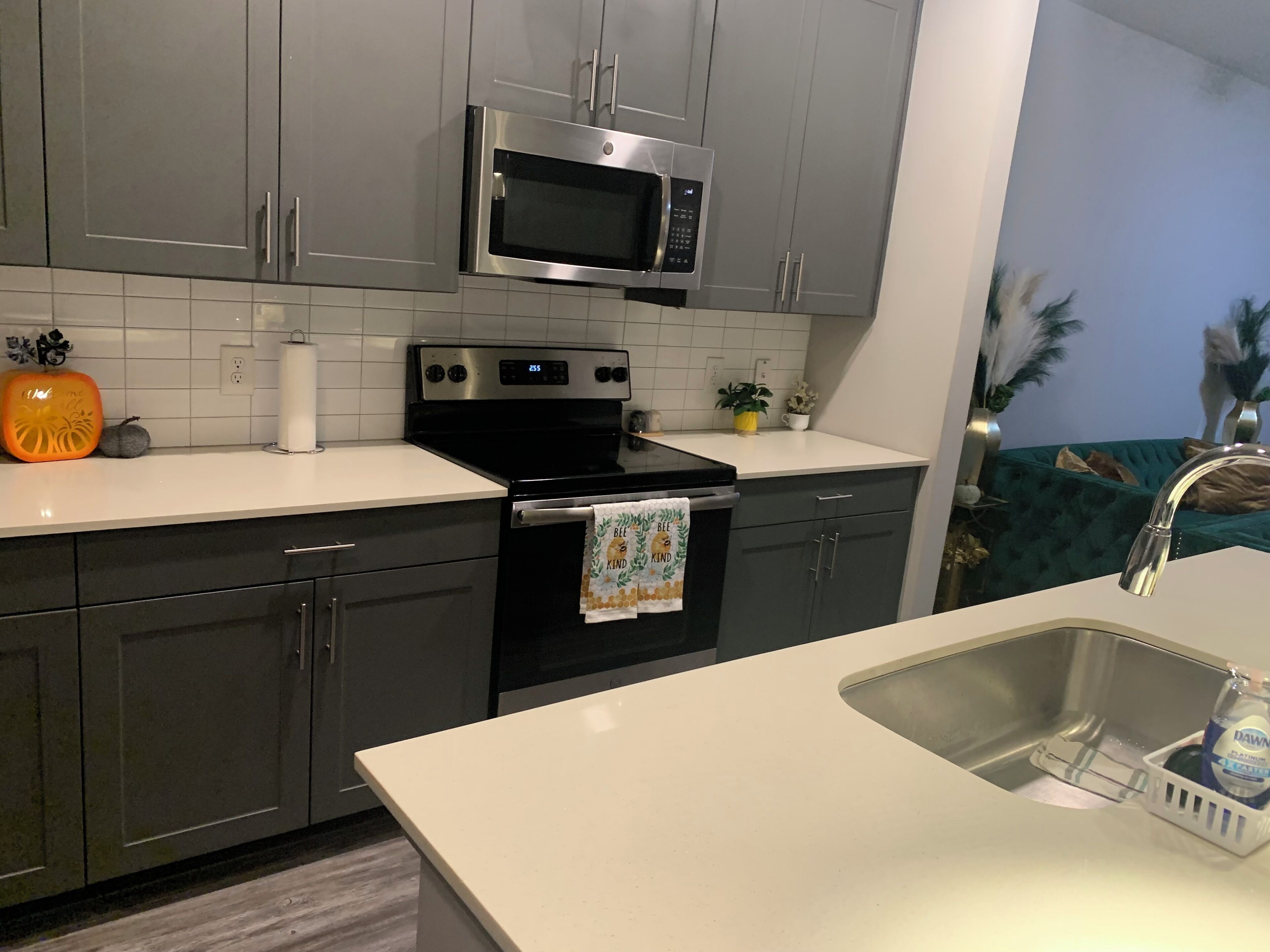 Mikrowelle, Ofen, Herdplatte, Geschirrspüler