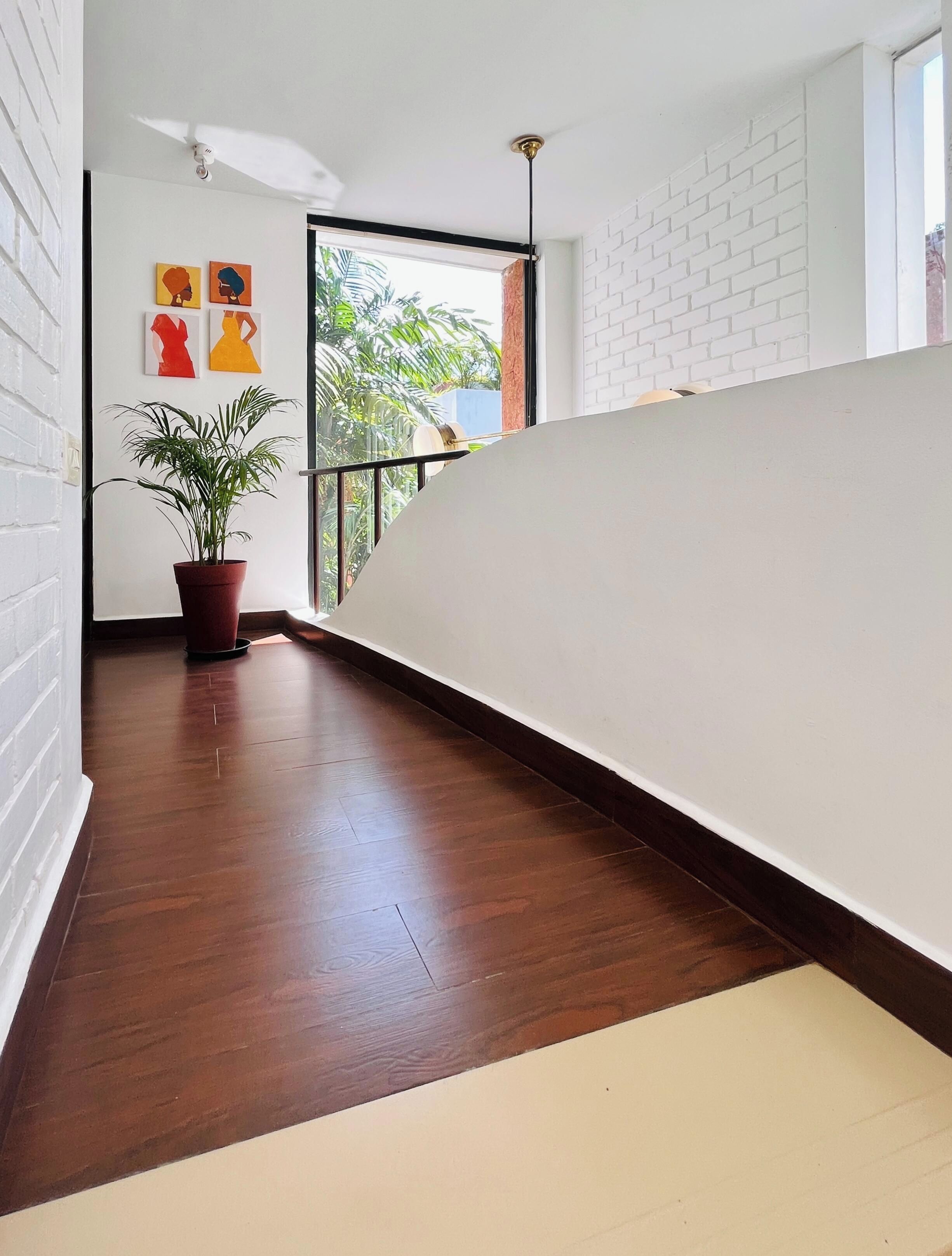 A modern interior with a wooden floor, a potted plant, and artwork on the wall.