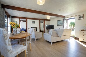 تلفزيون، مشغل دي في دي