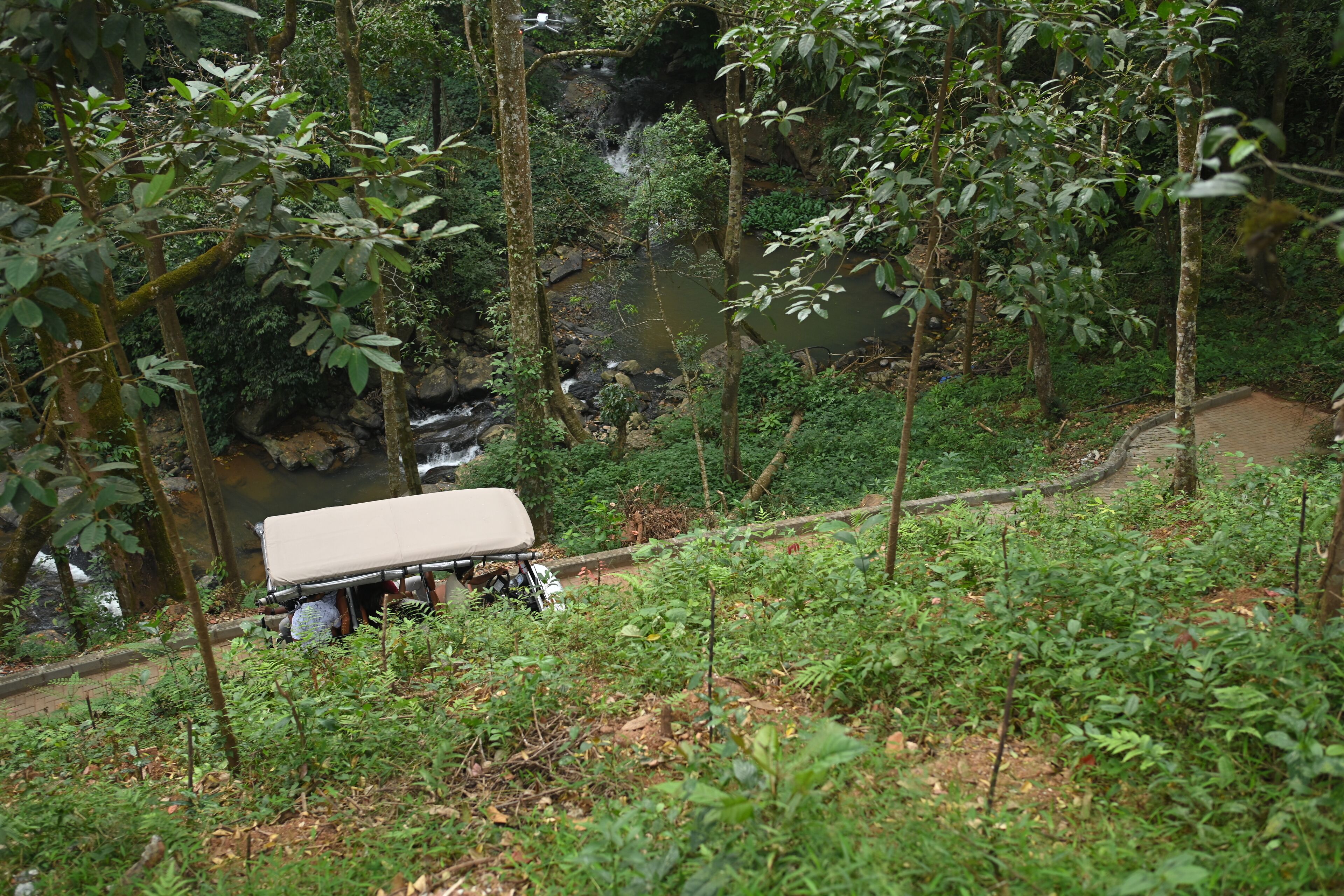 A tented area with a river and forest in the background.