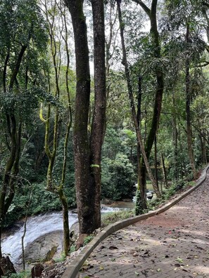 Vista desde la propiedad
