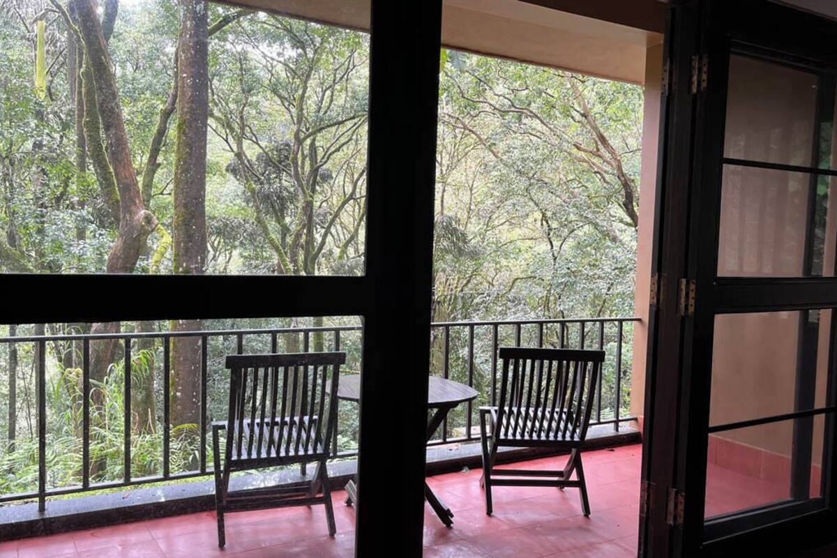 A balcony with two chairs and a table, overlooking a lush forest.