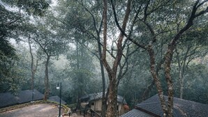 Tranquil Stream Side Cottage | In-room safe, desk, laptop workspace, blackout drapes - Nirjhara Coorg  (Somvarpet)